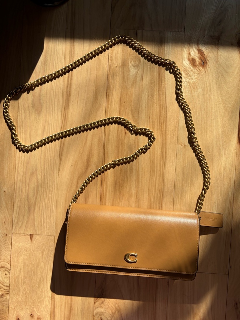 Coach Leather Evie Long Wallet with Chain in Honey Brown